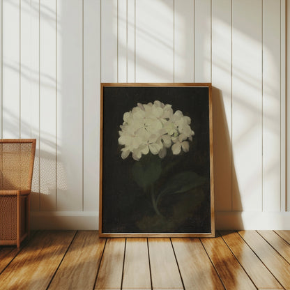 Premium Poster of White Hydrangea Painting Botanical Art Print Posters