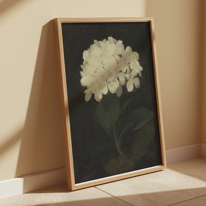Premium Poster of White Hydrangea Painting Botanical Art Print Posters