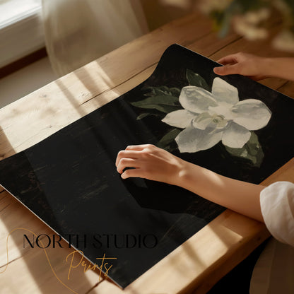 Premium Poster of White Magnolia Flower Against Black Background Posters