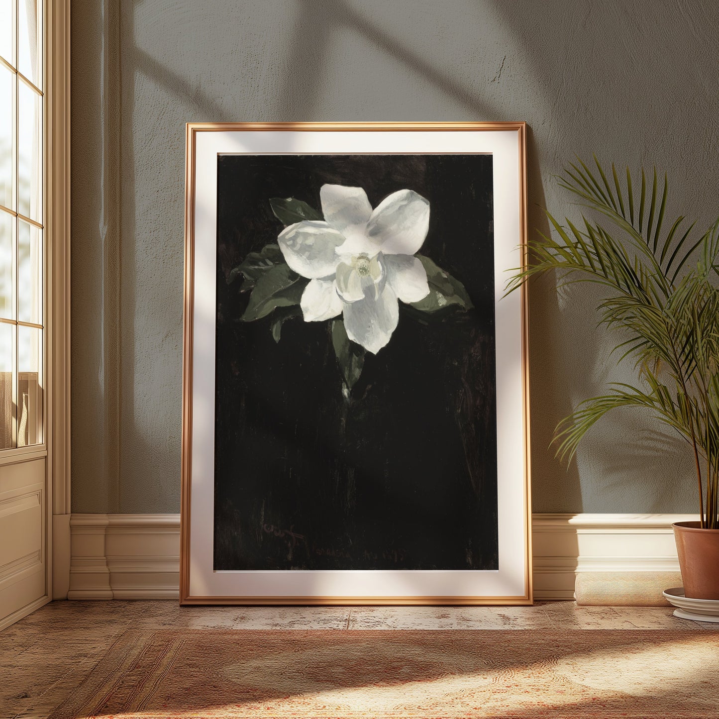 Premium Poster of White Magnolia Flower Against Black Background Posters