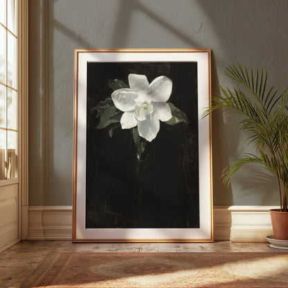 Premium Poster of White Magnolia Flower Against Black Background Posters