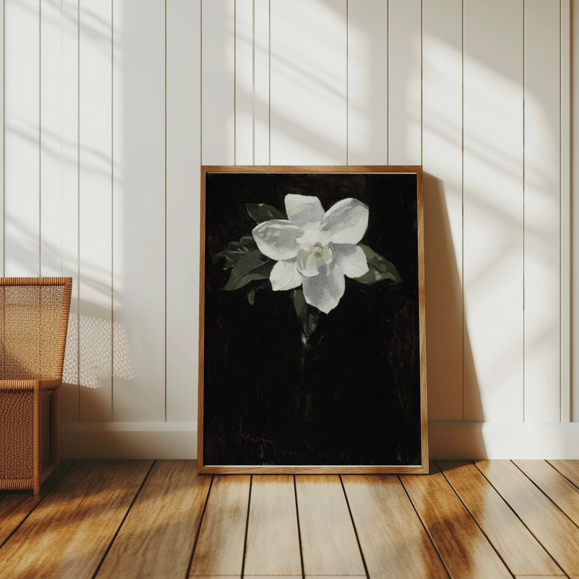 Premium Poster of White Magnolia Flower Against Black Background Posters