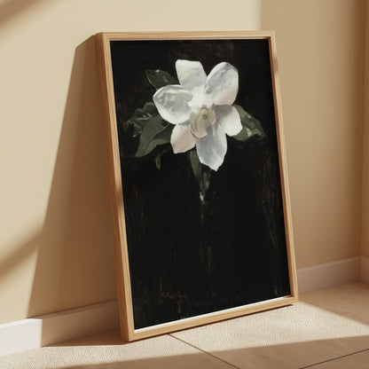 Premium Poster of White Magnolia Flower Against Black Background Posters