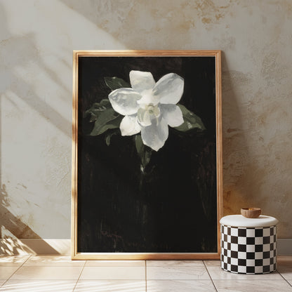 Premium Poster of White Magnolia Flower Against Black Background Posters