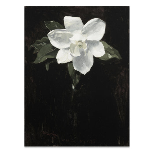 Premium Poster of White Magnolia Flower Against Black Background Posters