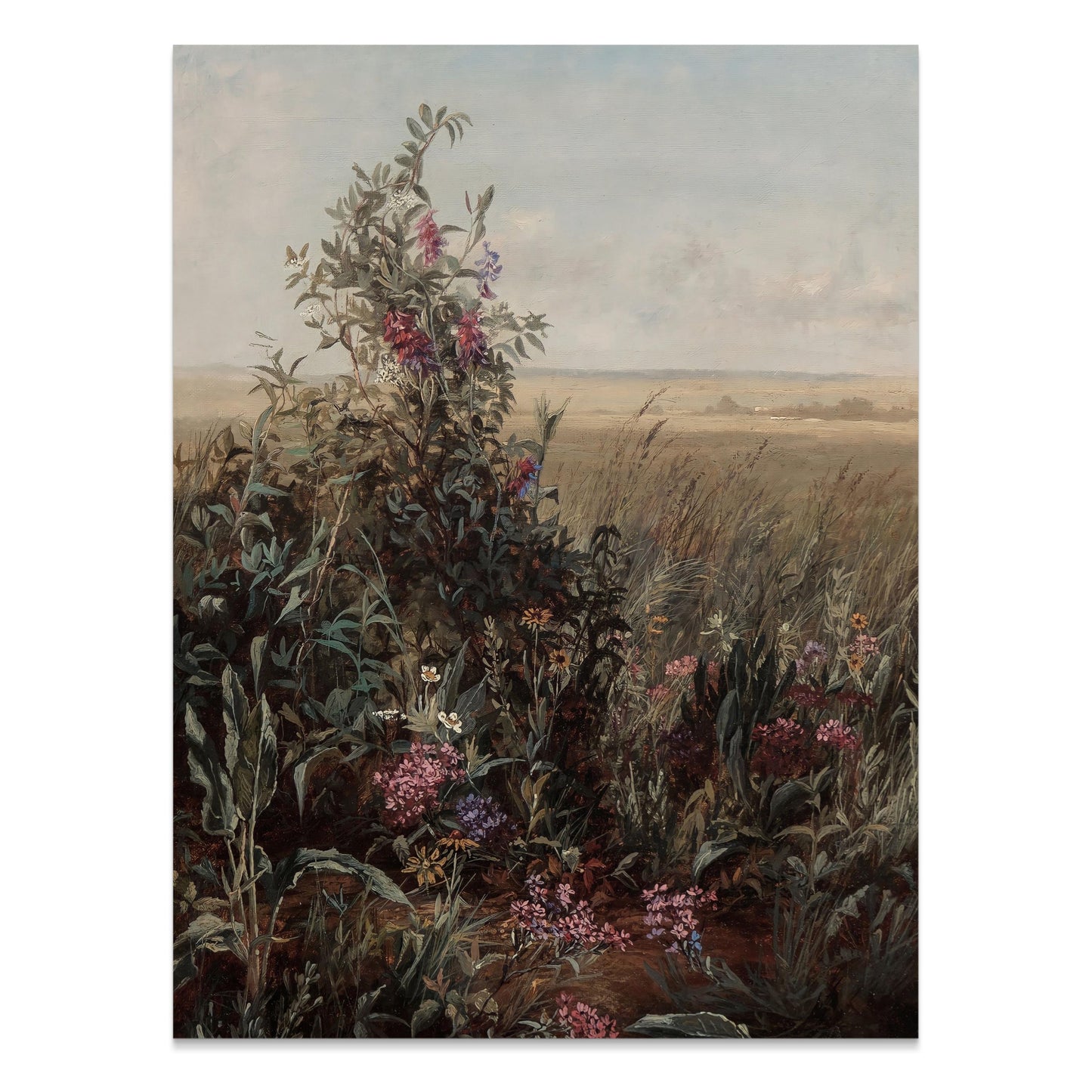 Premium Poster of Wild Meadow with Blooming Flowers Art Posters