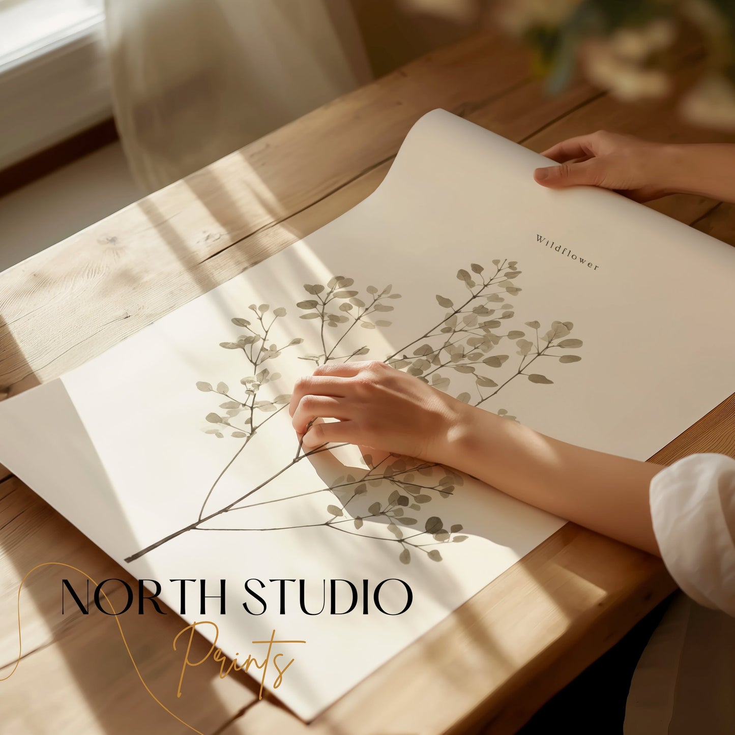 Premium Poster of Wildflower Botanical Print Minimalist Art Posters
