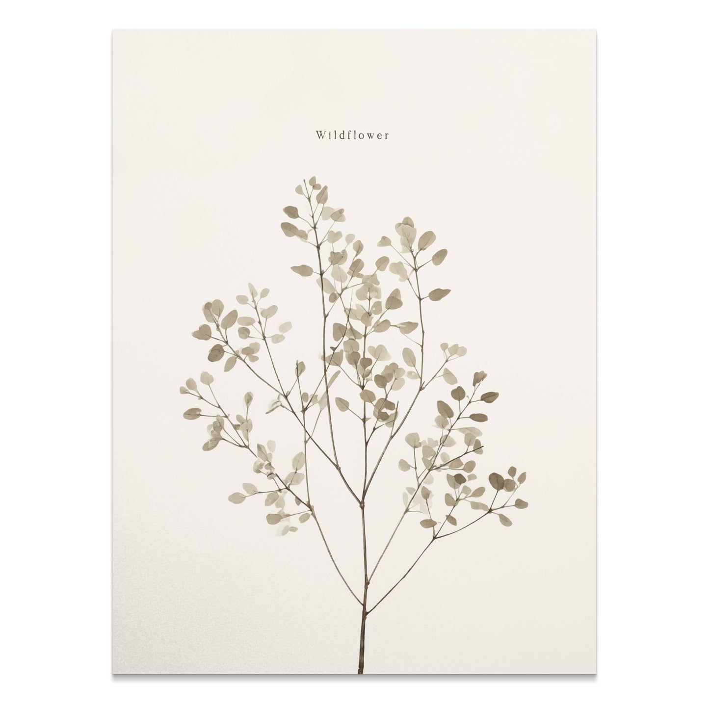 Premium Poster of Wildflower Botanical Print Minimalist Art Posters