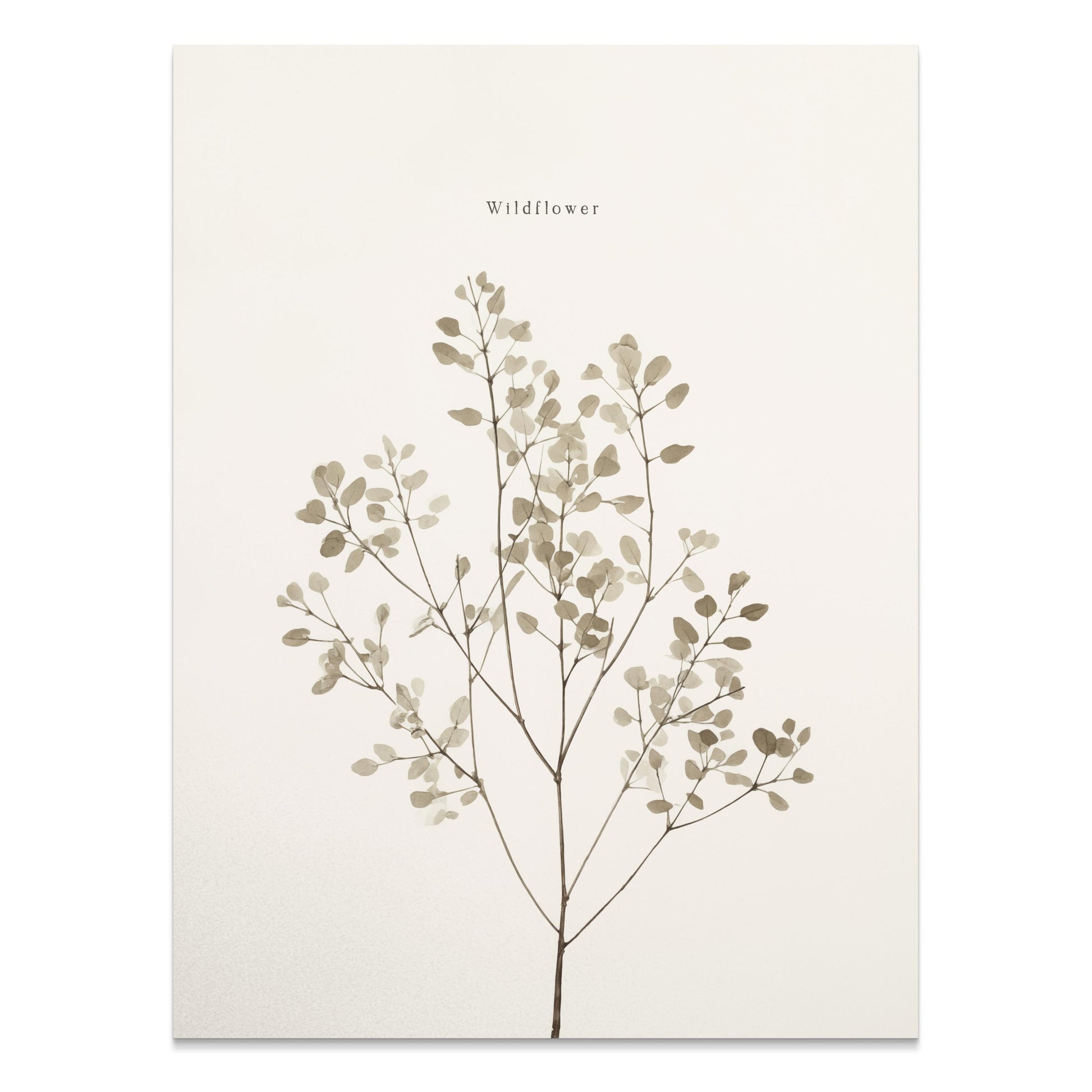 Premium Poster of Wildflower Botanical Print Minimalist Art Posters