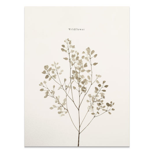 Premium Poster of Wildflower Botanical Print Minimalist Art Posters