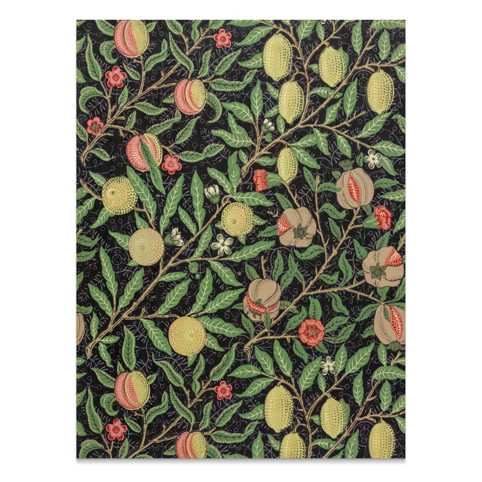 Premium Poster of William Morris Botanical Design Peach and Lemon Posters
