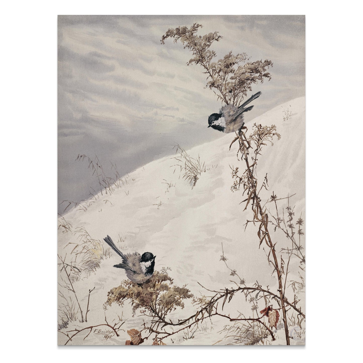 Premium Poster of Winter Birds on Snowy Branch Scene Posters