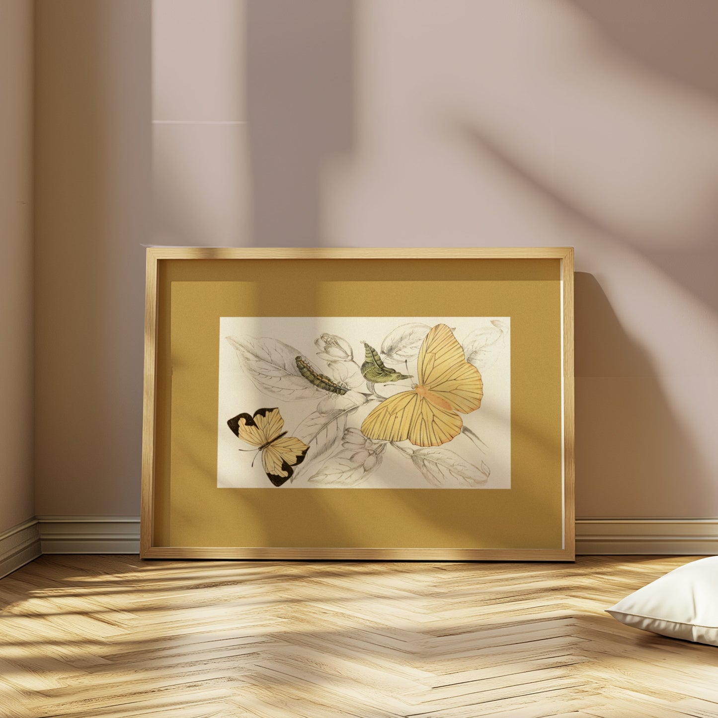 Premium Poster of Yellow and Black Butterfly Illustration Art Posters