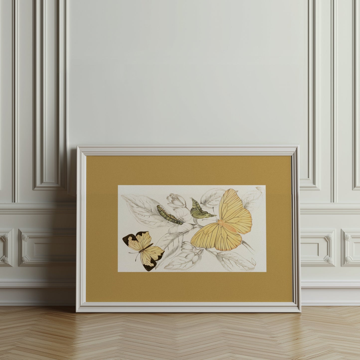 Premium Poster of Yellow and Black Butterfly Illustration Art Posters