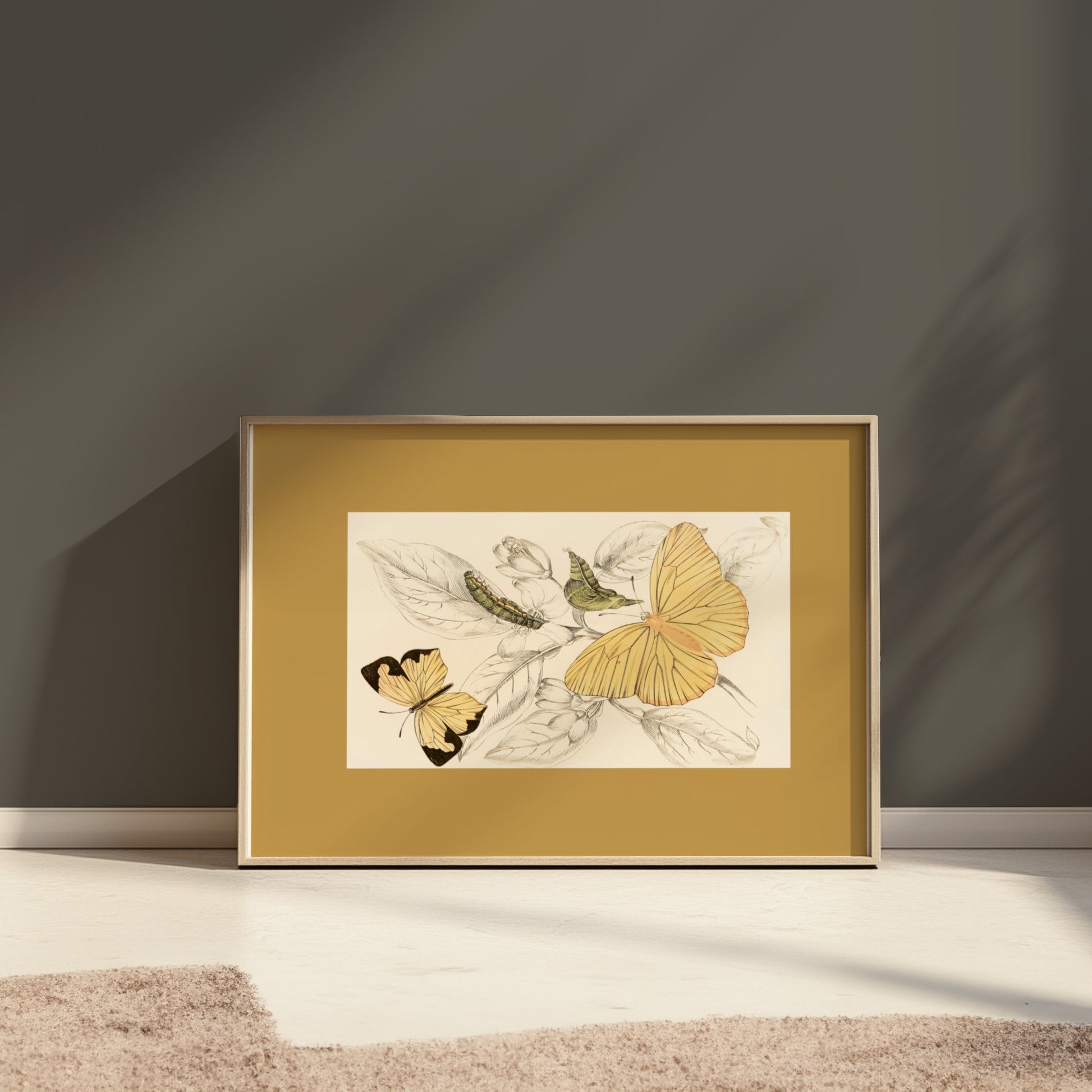Premium Poster of Yellow and Black Butterfly Illustration Art Posters