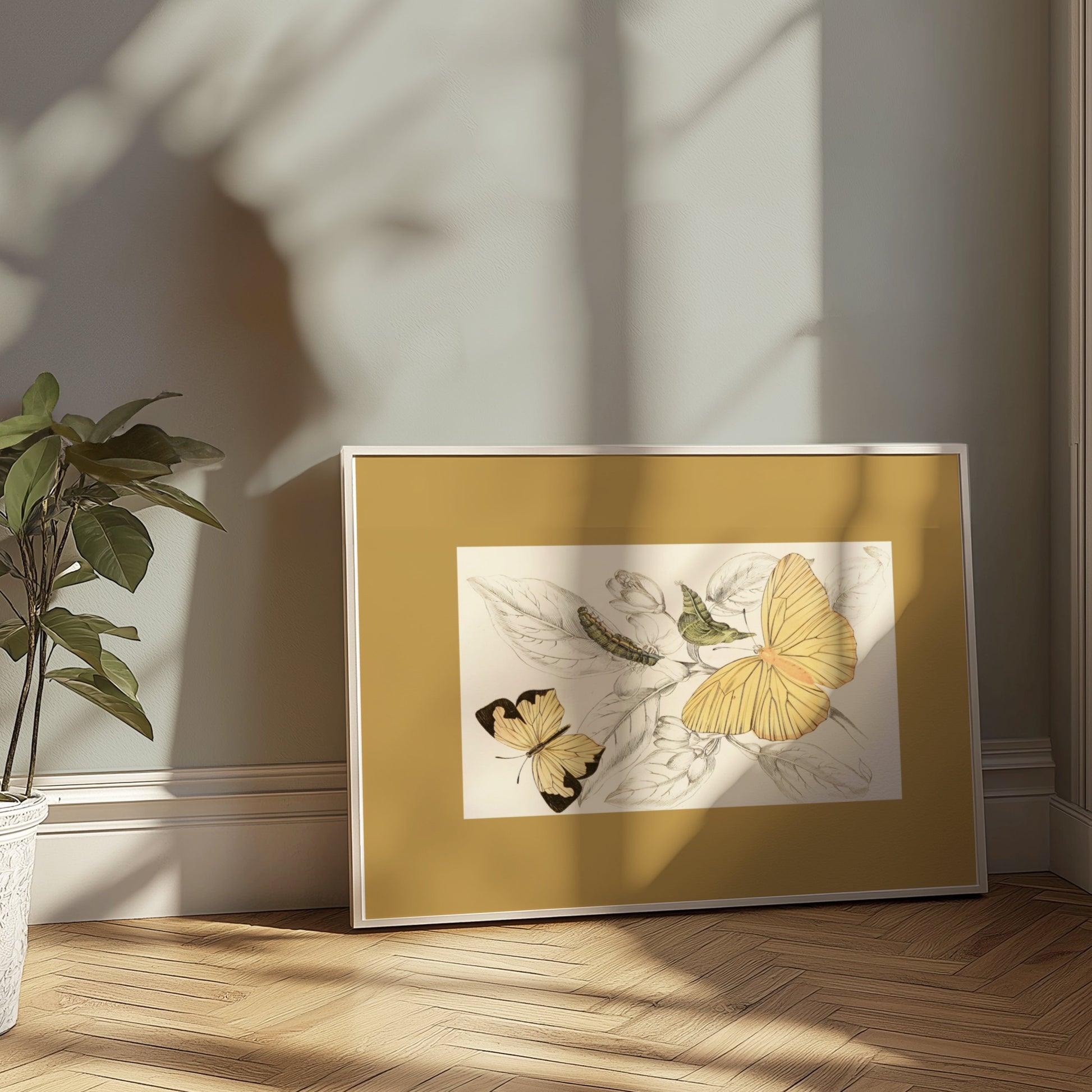 Premium Poster of Yellow and Black Butterfly Illustration Art Posters