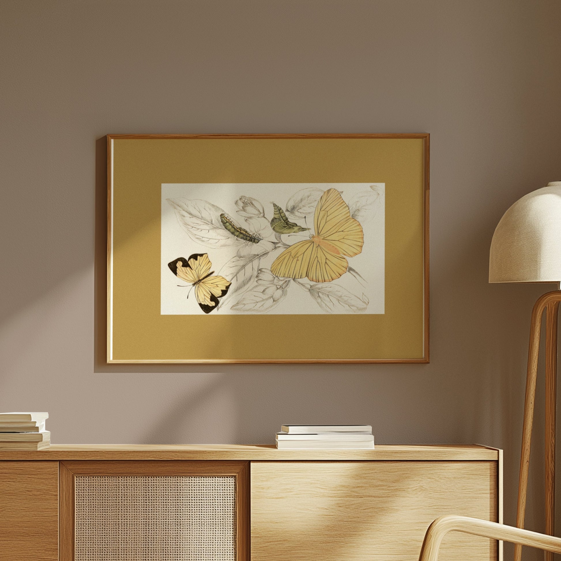 Premium Poster of Yellow and Black Butterfly Illustration Art Posters