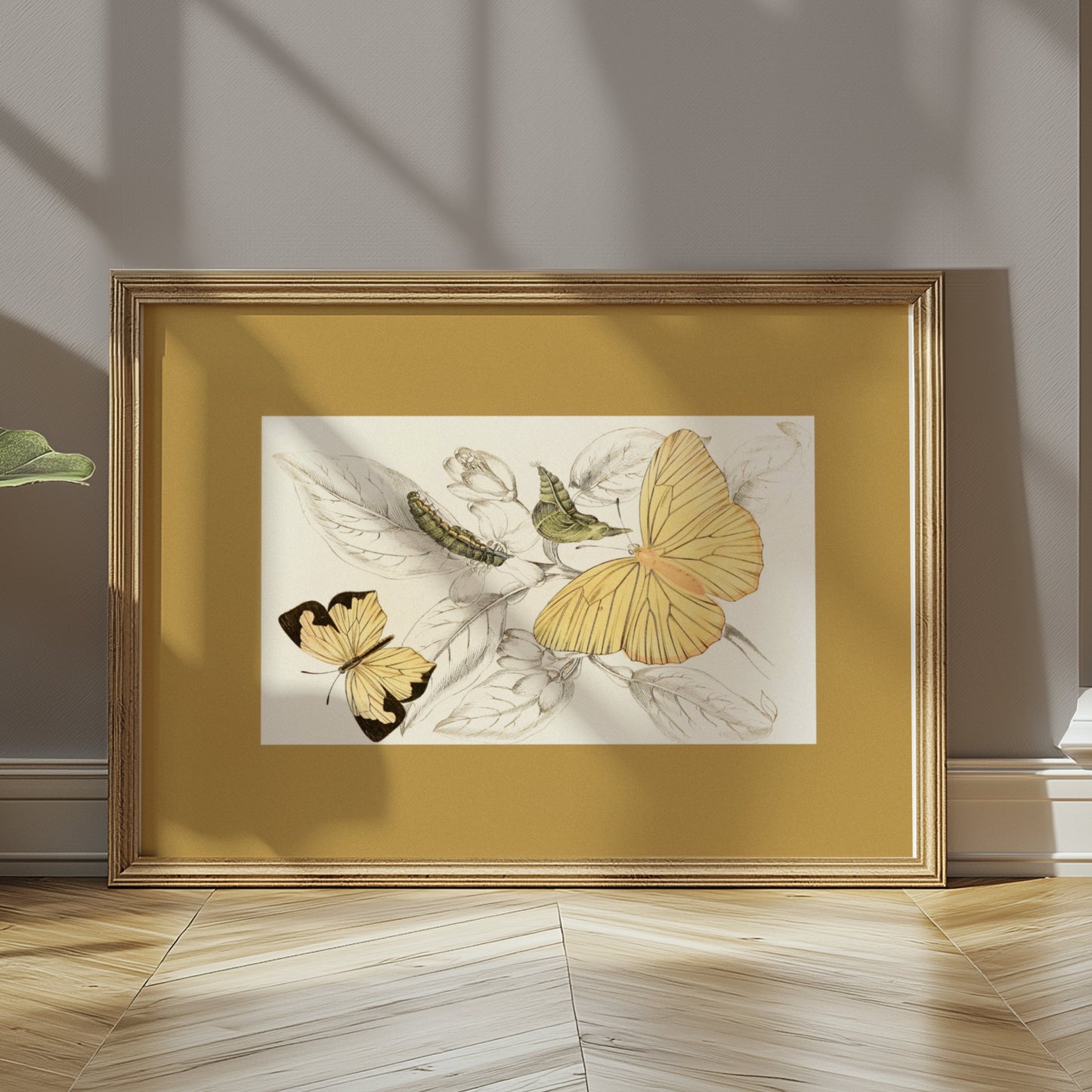Premium Poster of Yellow and Black Butterfly Illustration Art Posters