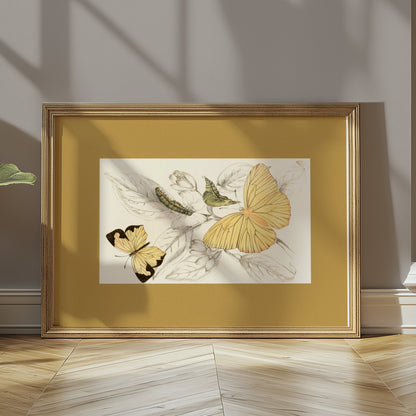Premium Poster of Yellow and Black Butterfly Illustration Art Posters
