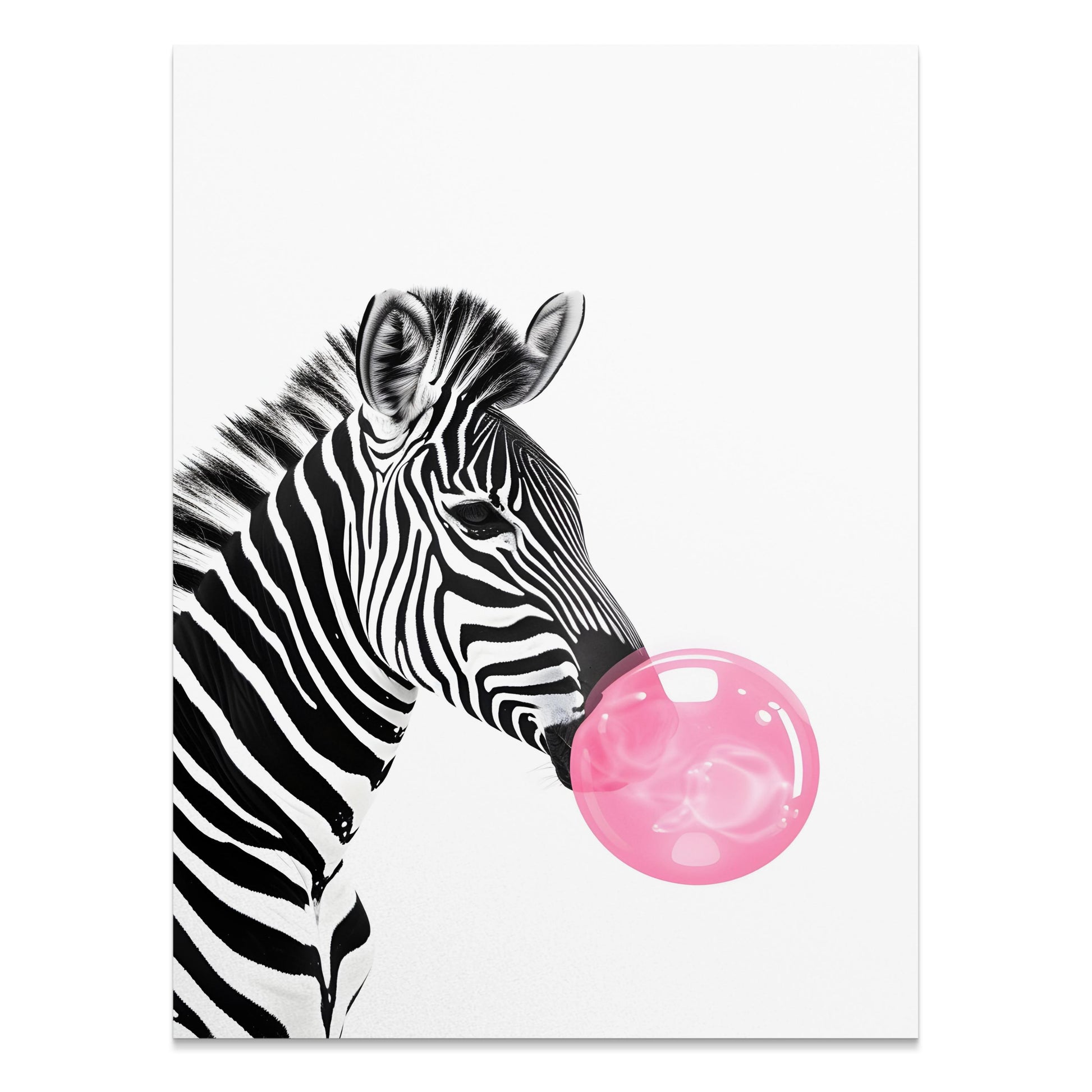 Premium Poster of Zebra Blowing Bubble Gum Art Print Animal Wall Posters